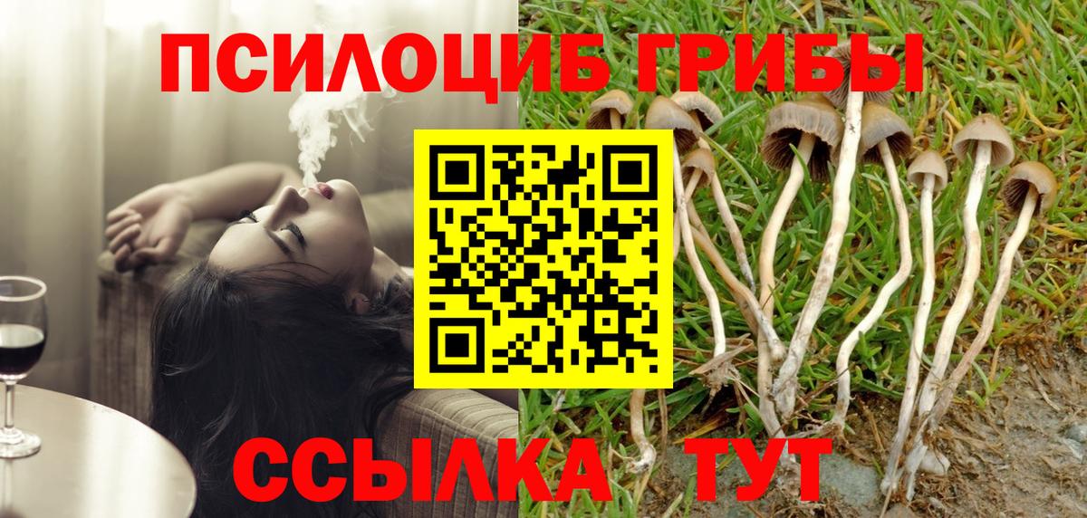 Галлюциногенные грибы Cubensis Орск