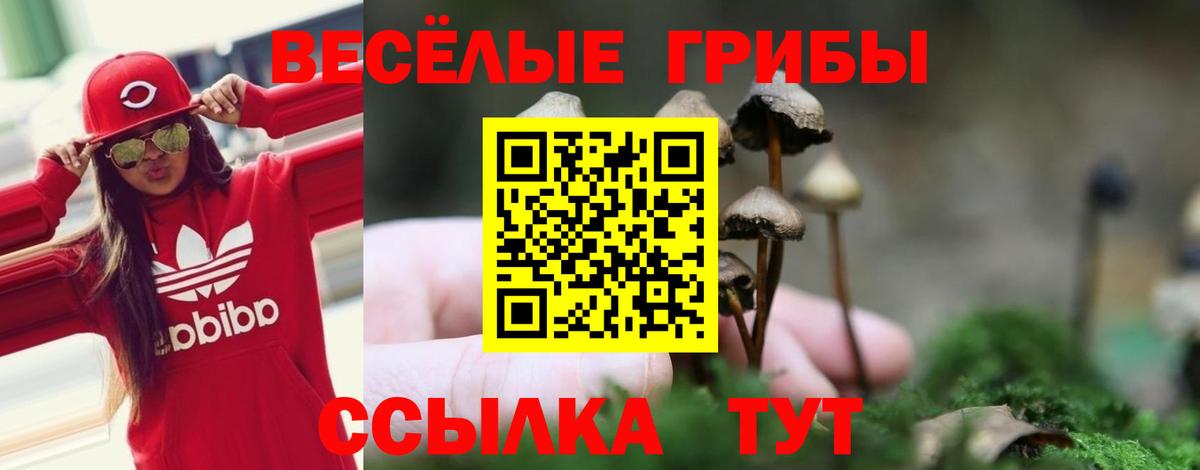 Галлюциногенные грибы мицелий  Вход с VPN  Орск 